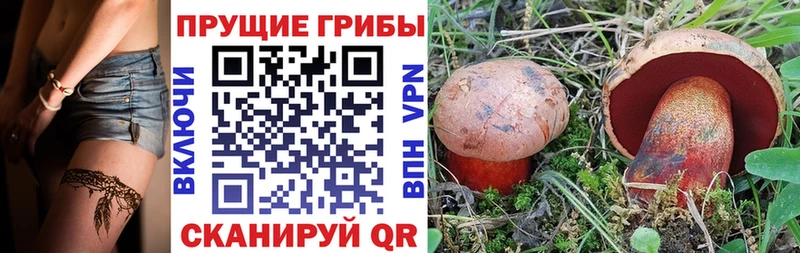 Псилоцибиновые грибы GOLDEN TEACHER закладка Петров Вал